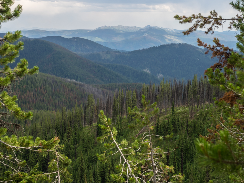 Part 25 Rock Creek, MT to Elk River, ID 201407290801